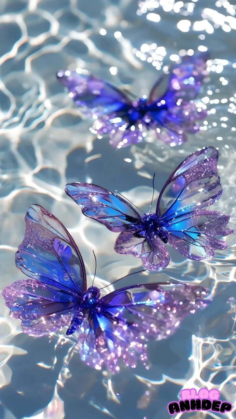 Xem hình nền bướm chất lượng cao