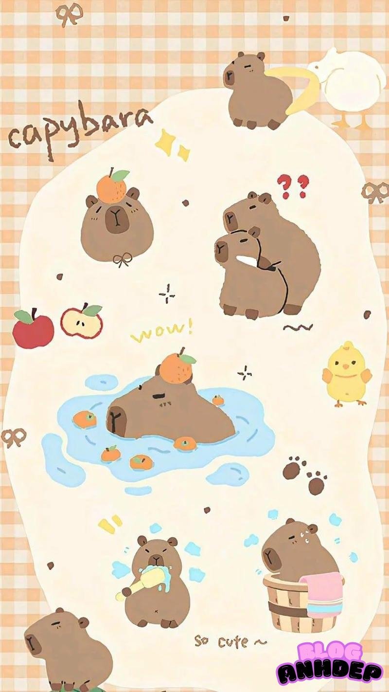 Xem hình nền capypara đẹp