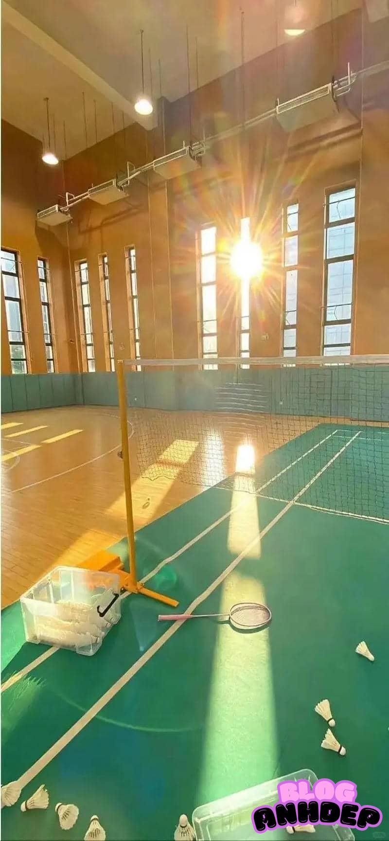 Xem hình nền cầu lông đẹp