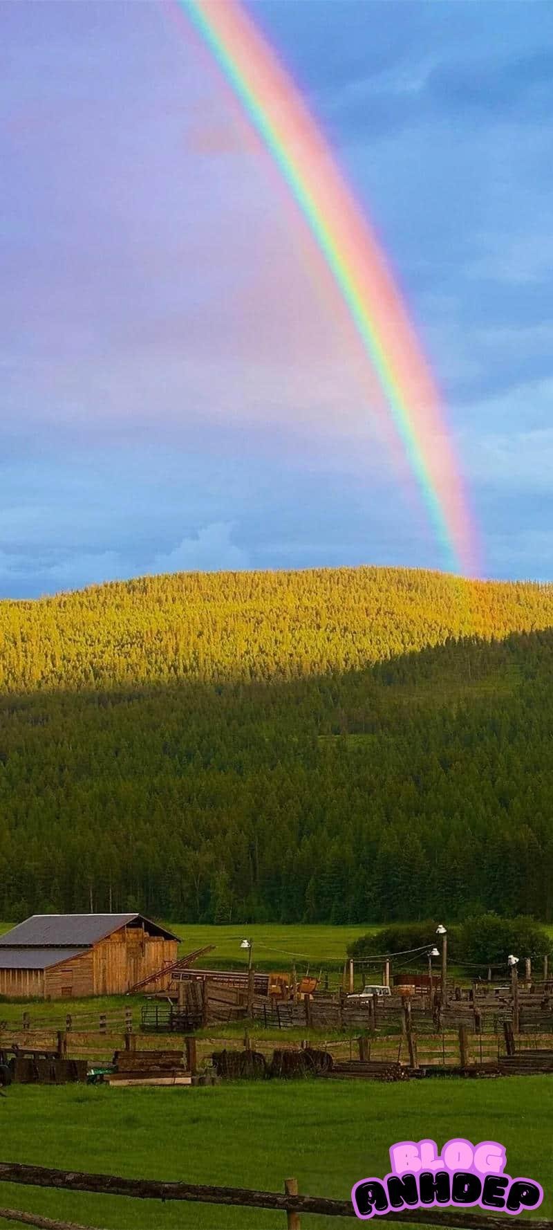 Xem hình nền cầu vòng chất lượng cao