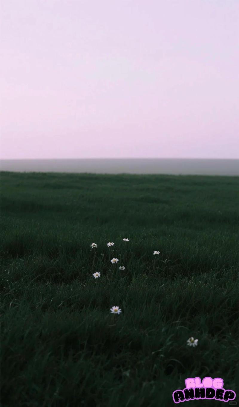 Xem hình nền cỏ đẹp