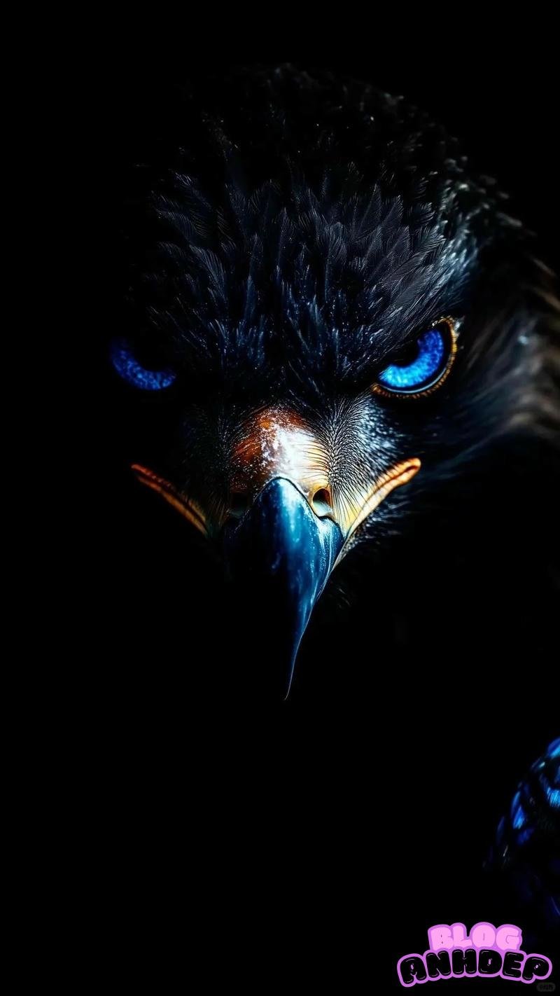 Xem hình nền đại bàng đẹp