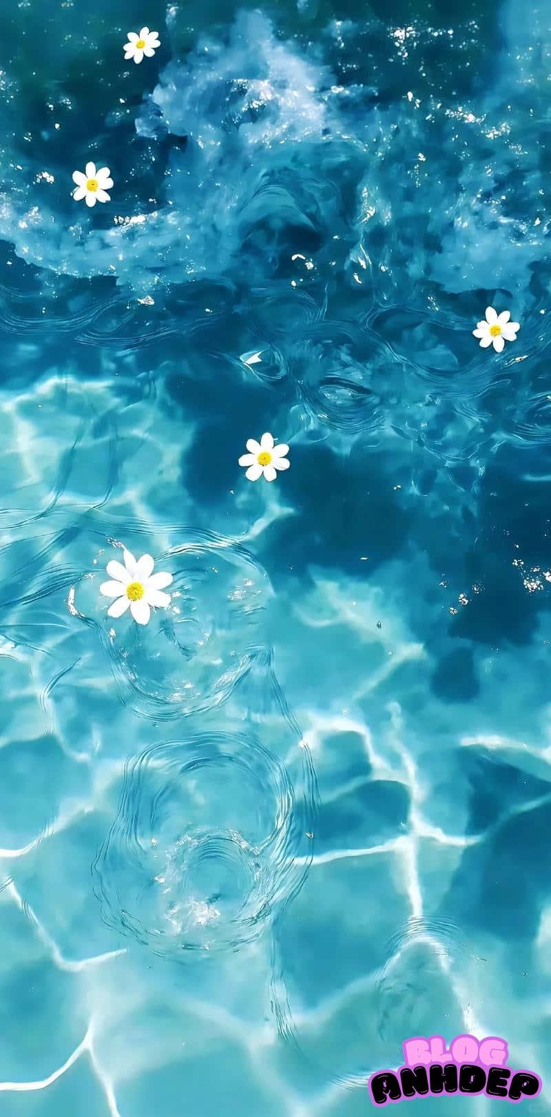 Xem hình nền đại dương chất lượng cao