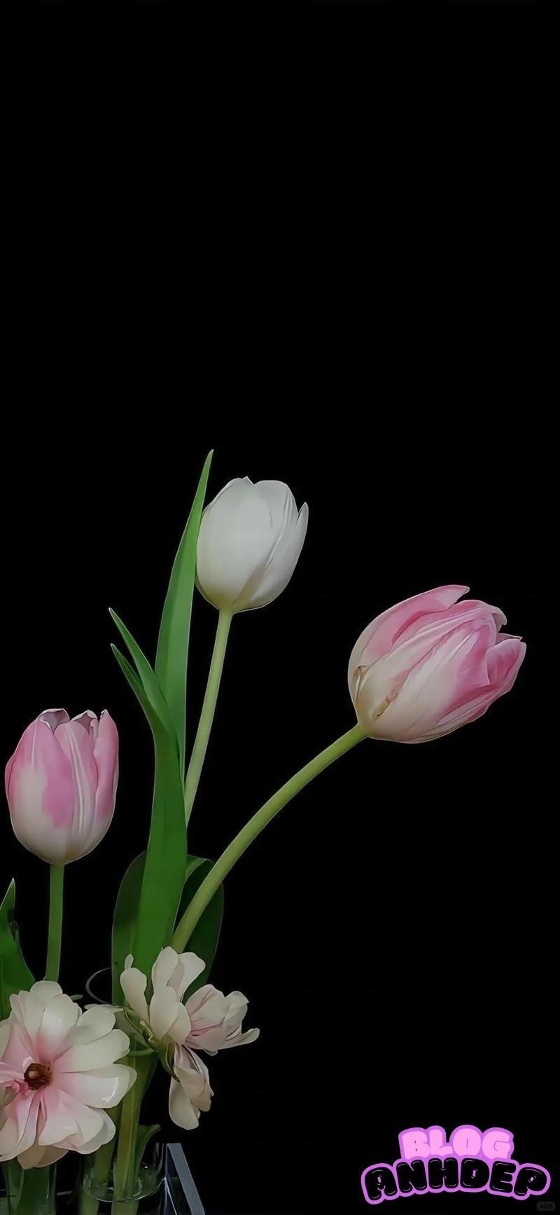 Xem nhanh hình nền bông hoa