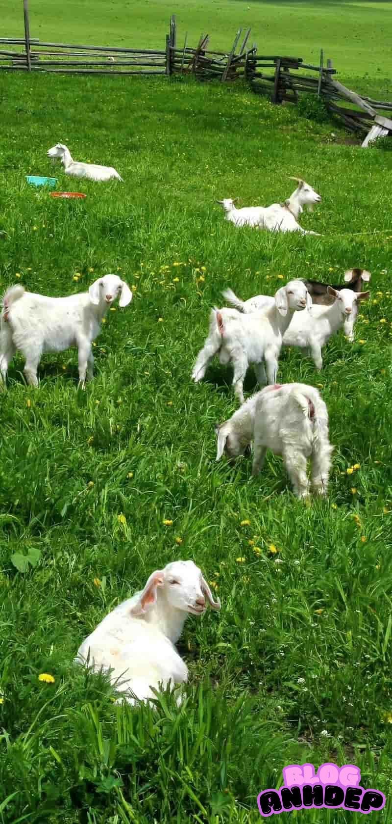 Xem trọn hình nền bình yên