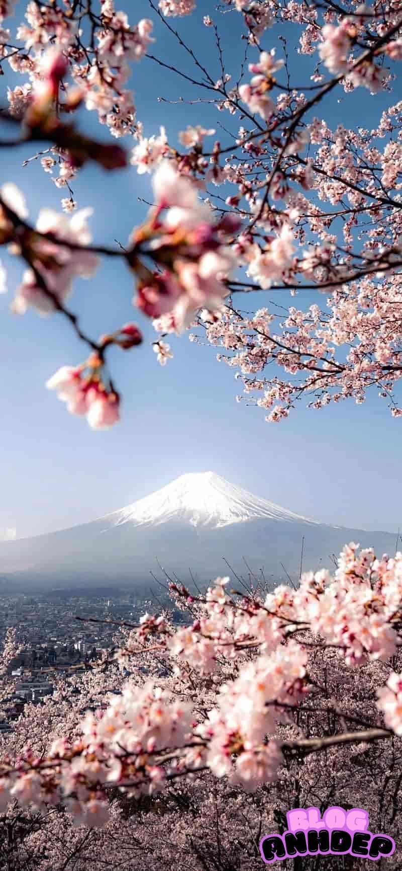 Xem tuyển tập hình nền bông hoa