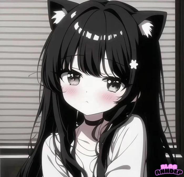 ảnh chibi girl mèo đen