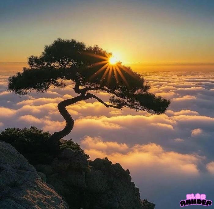 ảnh chill siêu đẹp