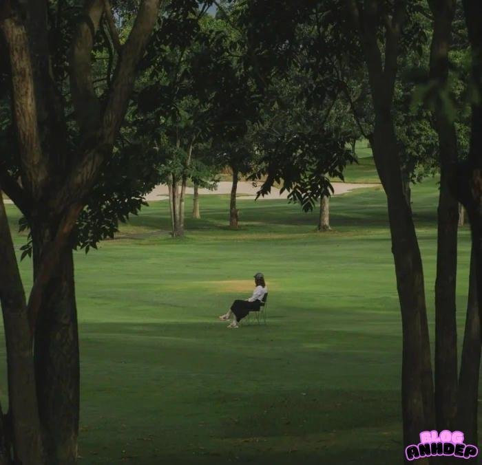 ảnh đại diện cô gái quay lưng lôi cuốn