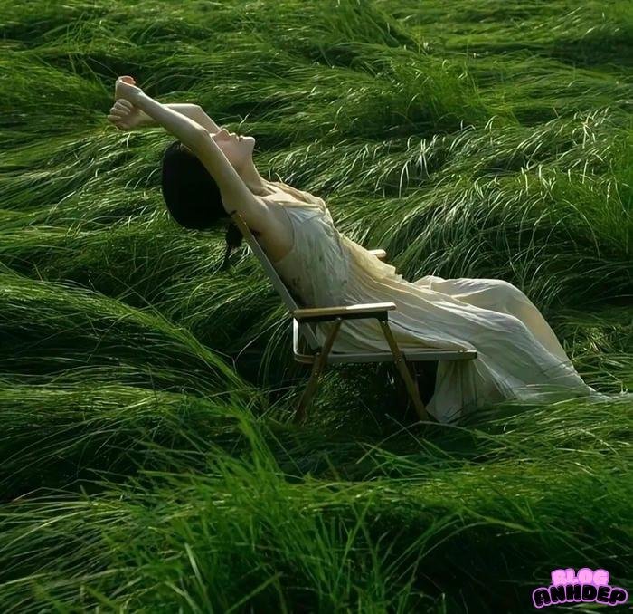 ảnh đại diện cô gái quay lưng xa xăm