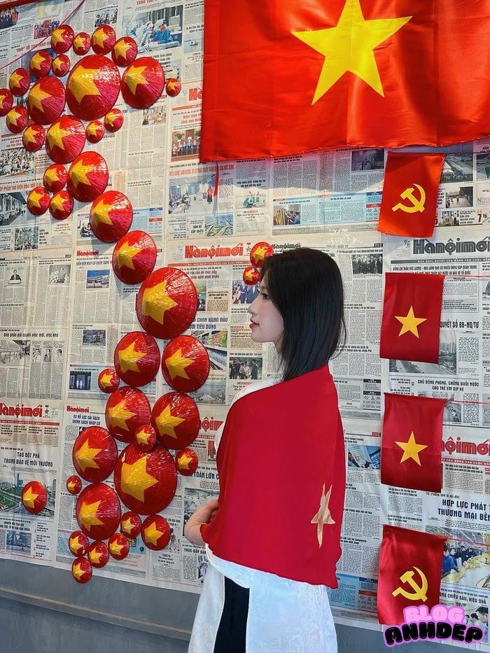 ảnh đại diện cờ việt nam hd