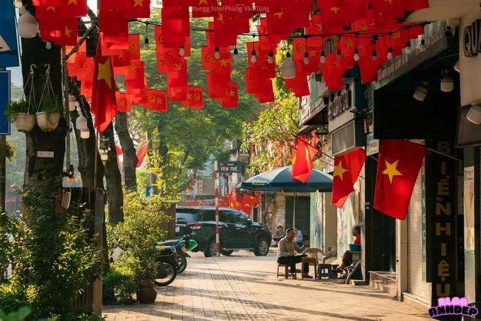 ảnh đại diện cờ việt nam lấp lánh