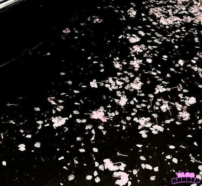 ảnh đại diện đen tinh tế