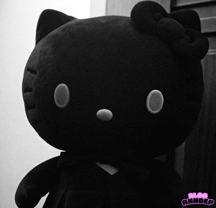 ảnh đại diện đen trắng chill