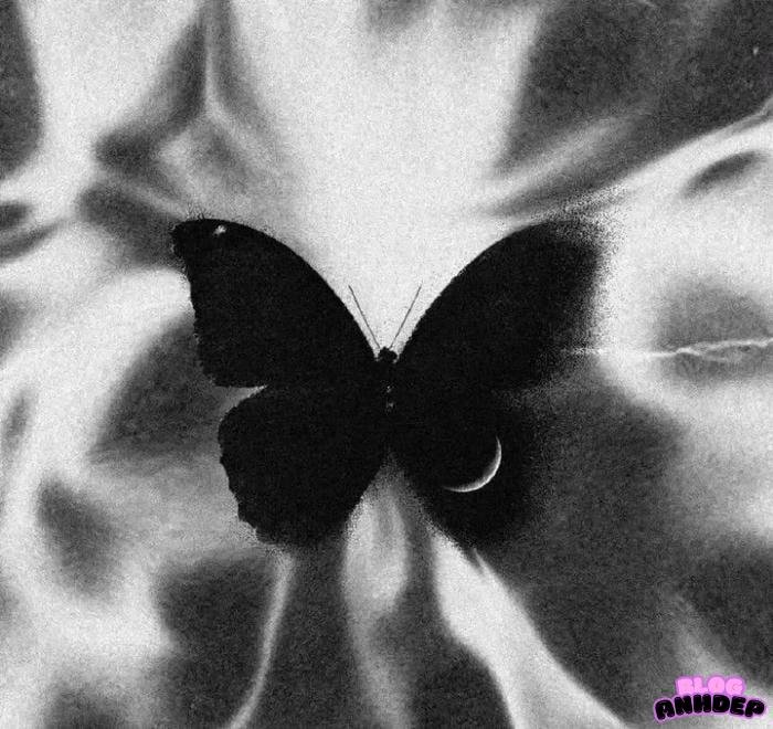 ảnh đại diện đen uy quyền