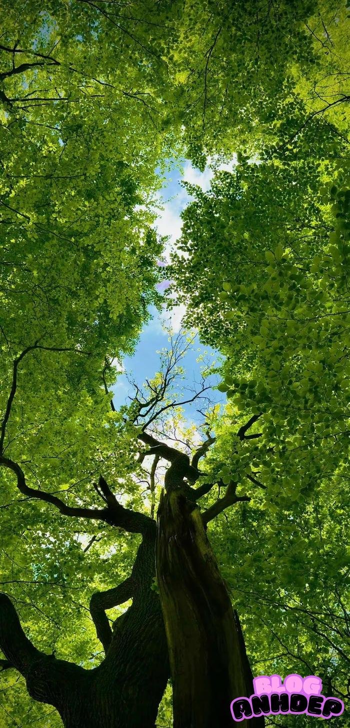 ảnh đại diện điện thoại ngầu