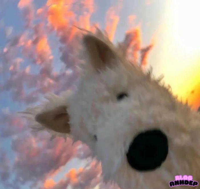 ảnh đại diện độc lạ hiện đại