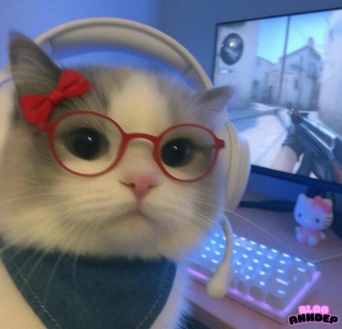 ảnh đại diện game chất