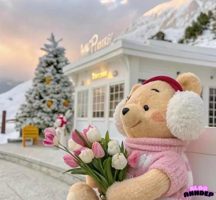 ảnh đại diện gấu sành điệu