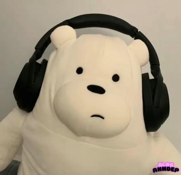 avatar âm nhạc gấu