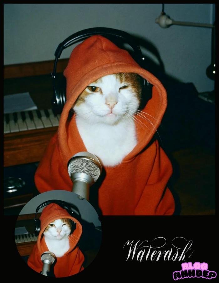 avatar âm nhạc mới