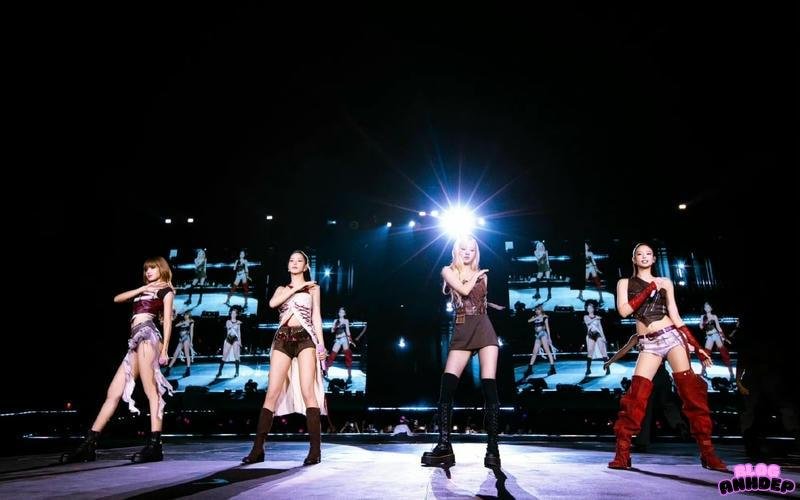 avatar blackpink chân dài