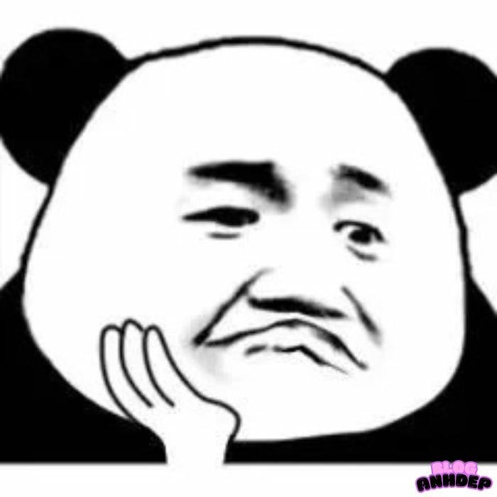 avatar bựa gấu tgrucs