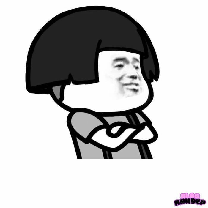 avatar bựa mái ngố