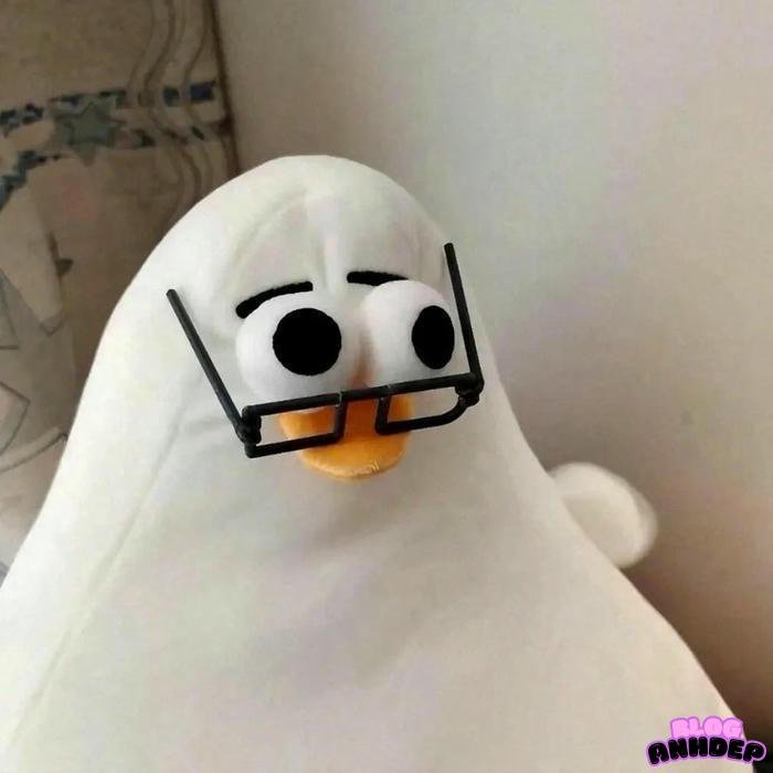 avatar bựa trắng