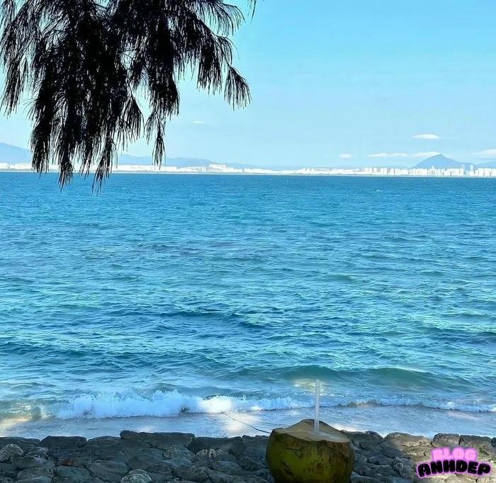 avatar chill biển cả