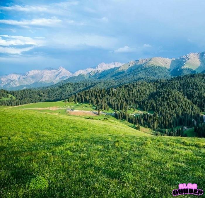 avatar chill siêu đẹp