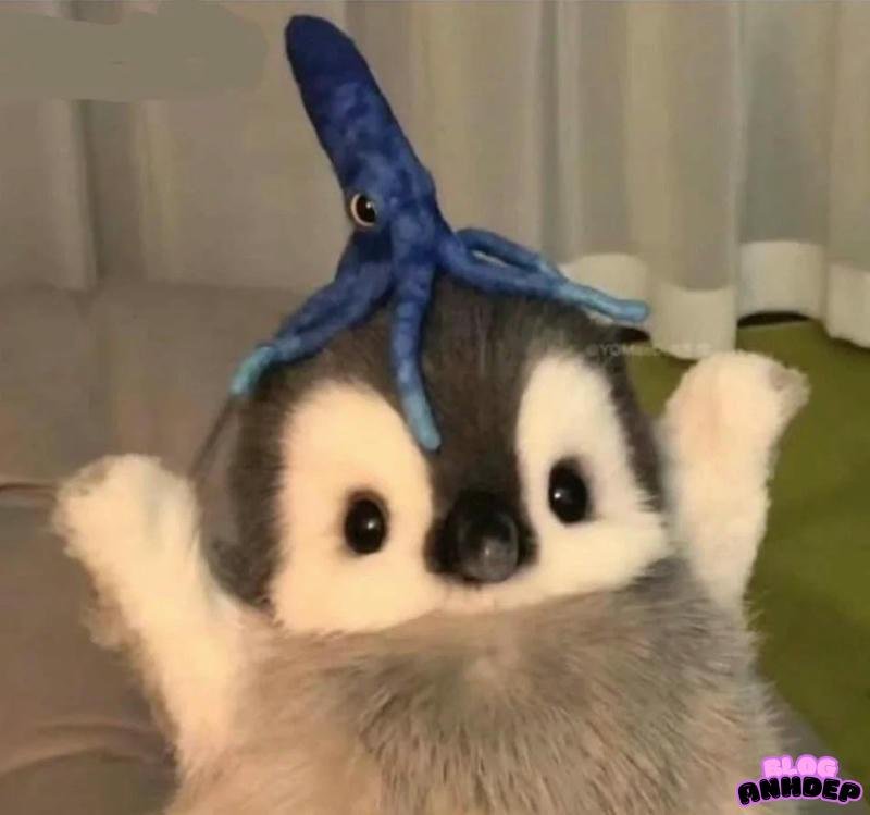 avatar chim cánh cụt hai