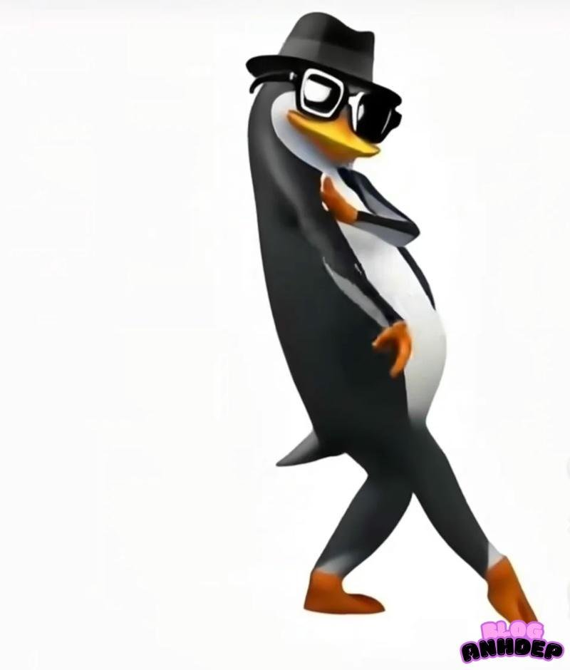 avatar chim cánh cụt meme