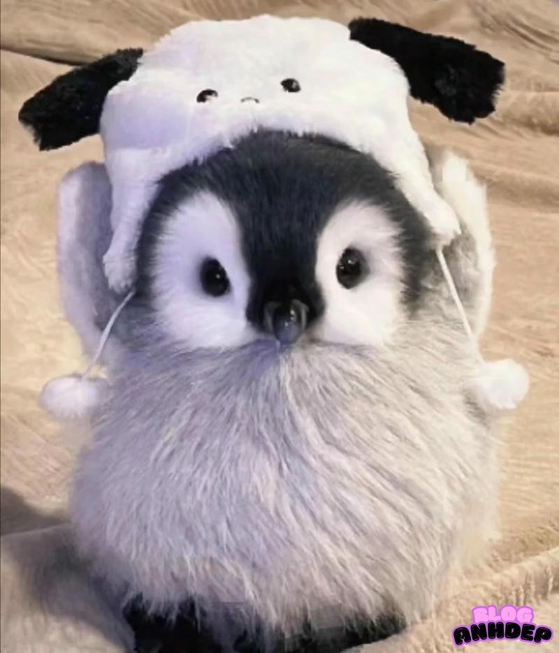 avatar chim cánh cụt mo chủ