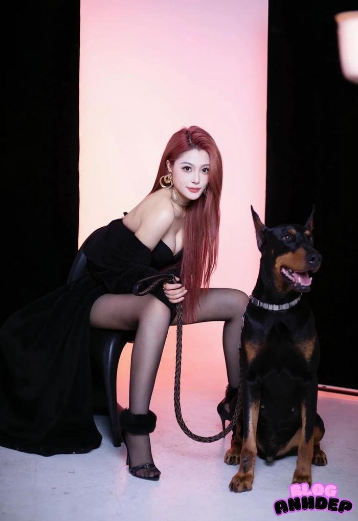 avatar chó cute anime