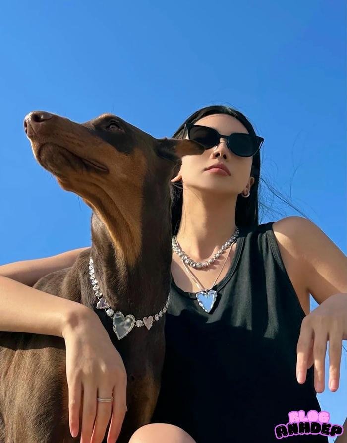 avatar chó nghiệp vụ