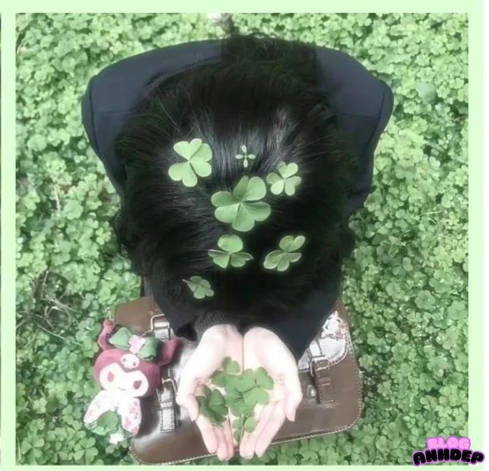 avatar cỏ 4 lá bình yên