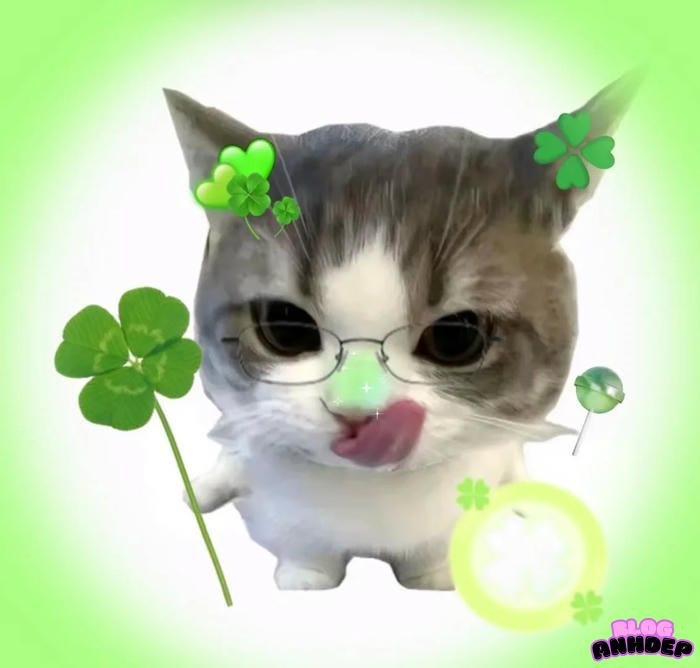 avatar cỏ 4 lá độc đáo