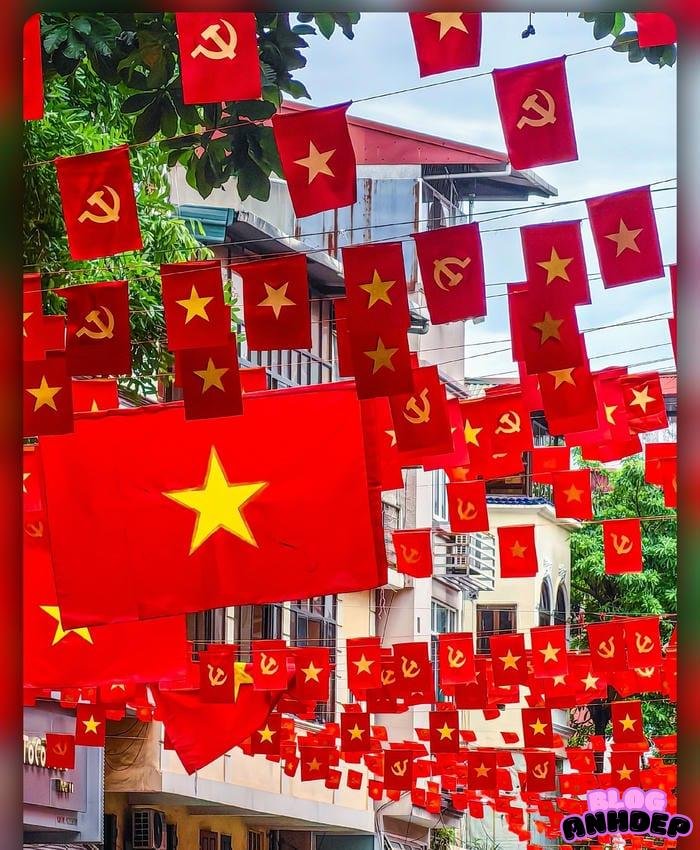 avatar cờ việt nam bay phấp phới