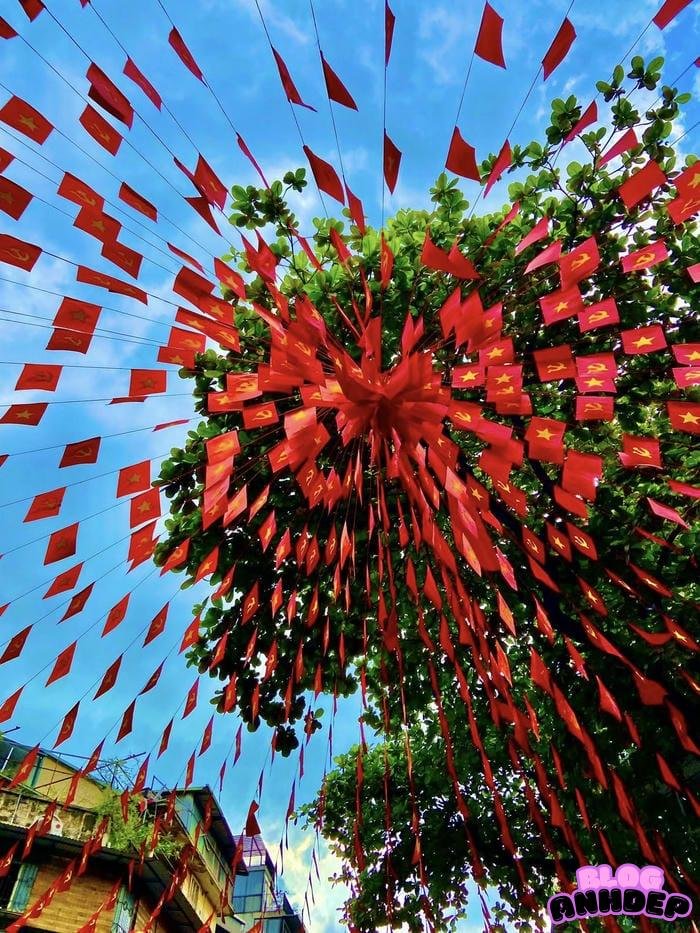 avatar cờ việt nam niềm tin