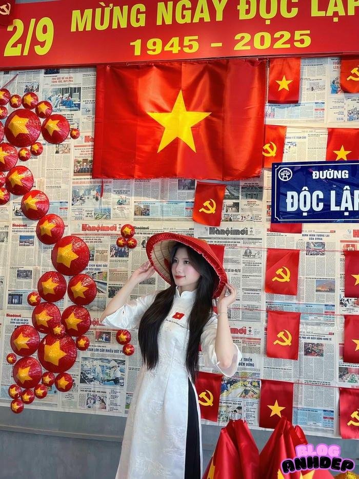 avatar cờ việt nam profile