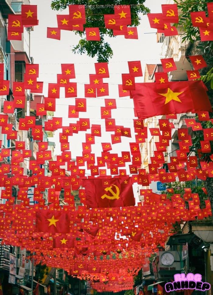 avatar cờ việt nam rực rỡ