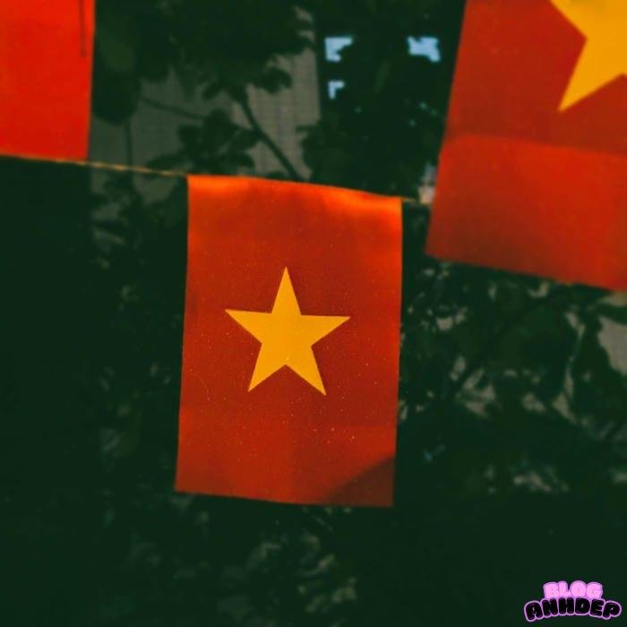 avatar cờ việt nam tôi yêu tổ quốc