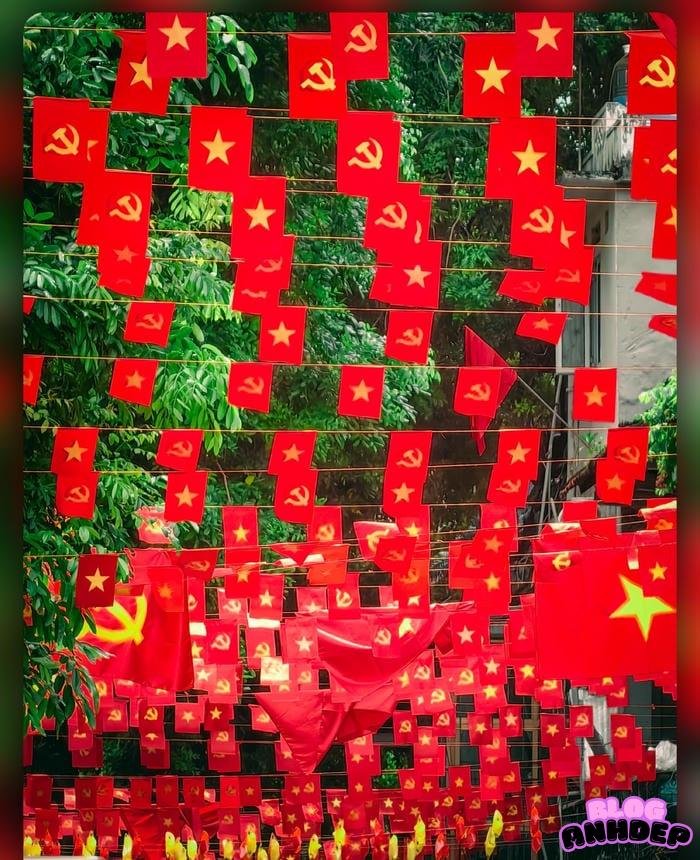 avatar cờ việt nam tự hào