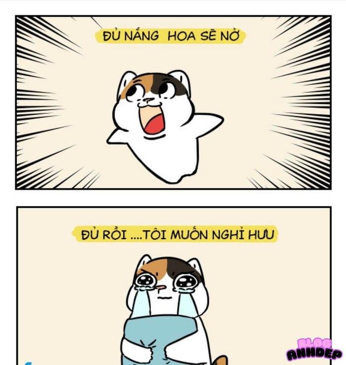 avatar comics anh hùng