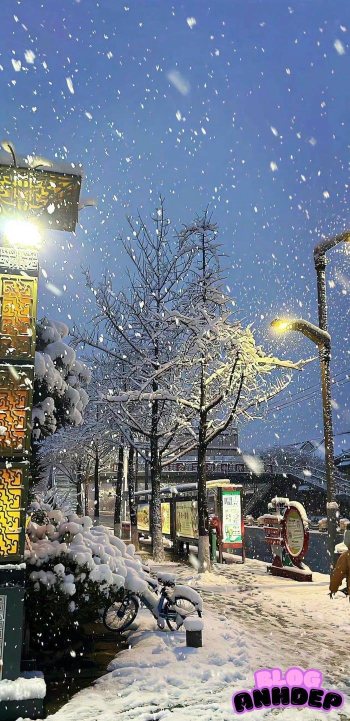 avatar điện thoại chất lượng cao