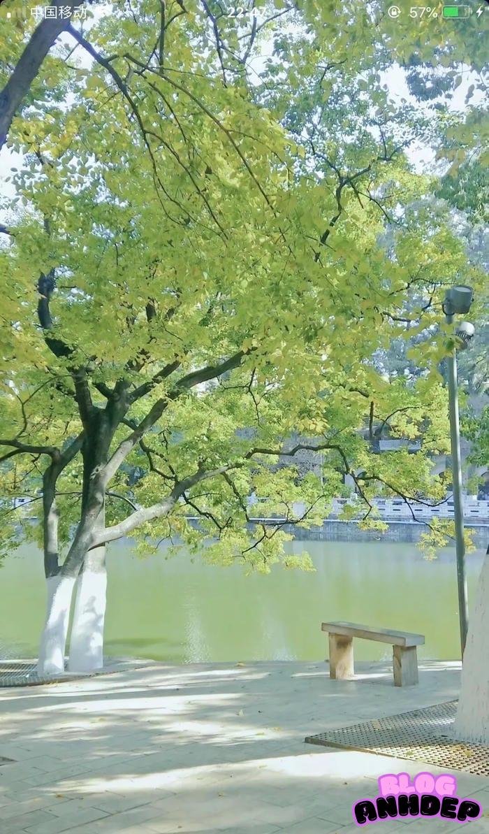 avatar điện thoại tối giản