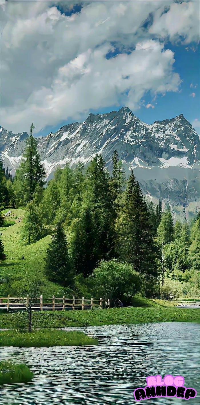 avatar điện thoại