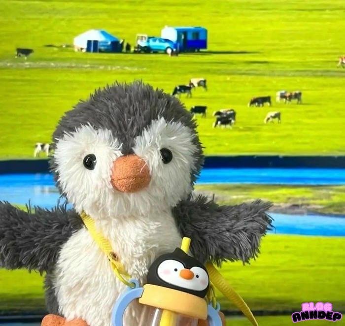 avatar độc lạ màu sắc