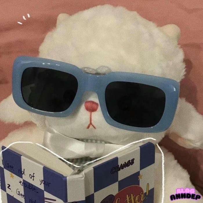 avatar đôi đeo kính xanh